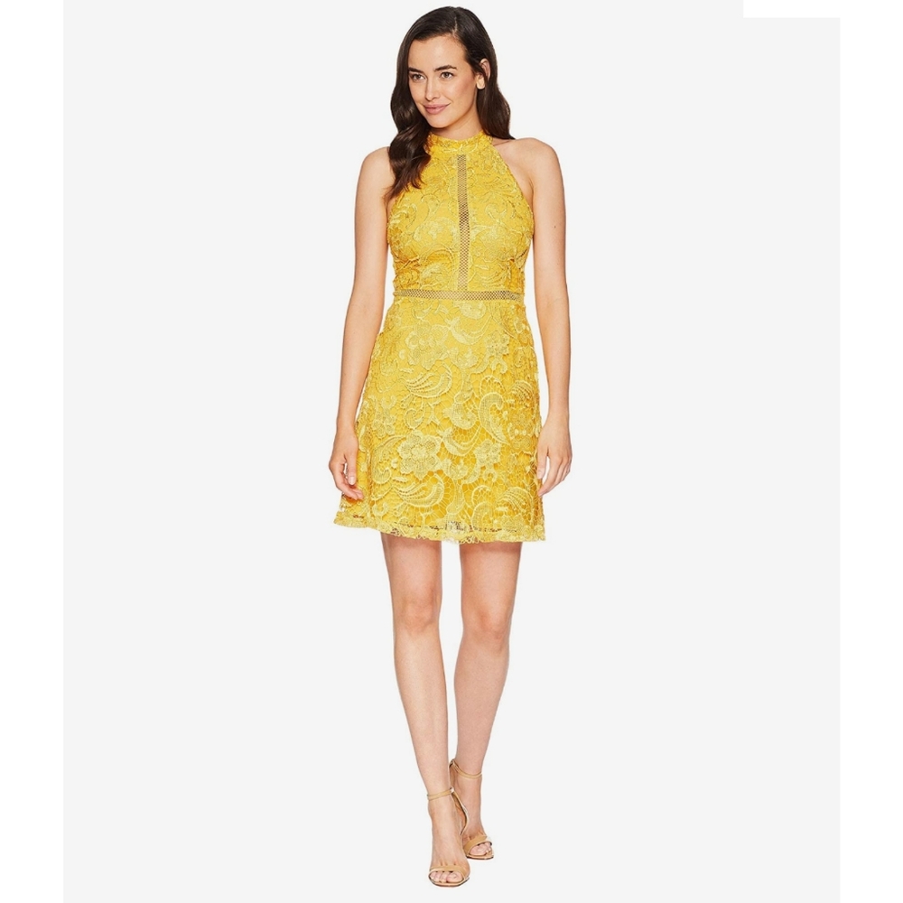 Alexia Admor Mock Neck Fit and Flare Lace Mini Dress Yellow size 8